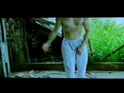 Stifler Kallahari Acetato de Trembolona + Download MP3