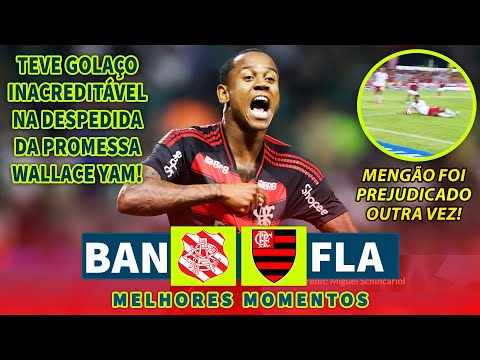 1001 BRASA and 2 more