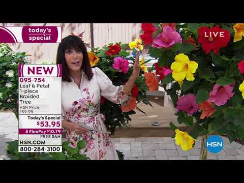 HSN | Ready, Set, Grow! Featuring Leaf & Petal Designs Anniversary 03.12.2021 - 02 PM