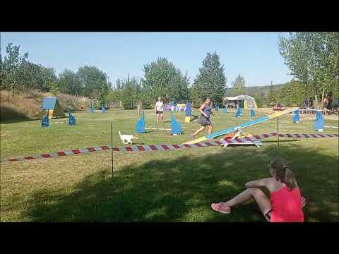 Čebín - Čebínské trojzkoušky, agility zkoušky - Tarry, 24. 7. 2022