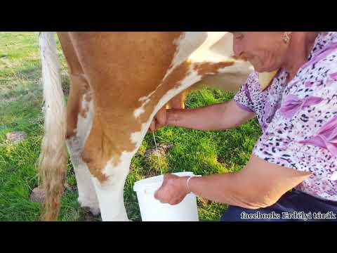 Hódítsd meg te is velünk a Vigyázó csúcsot a Kalota-havasban - Varful Vladeasa