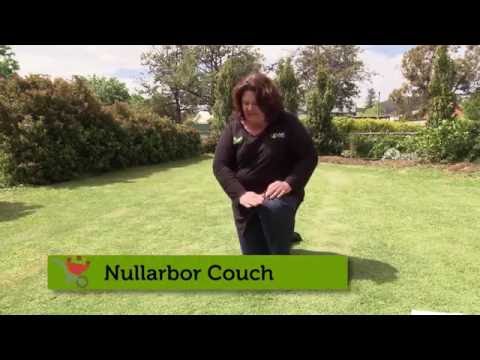 , title : 'Lawn Tips 4/4 - How to Pick The Right Lawn for your Yard -  In the Garden with Kim Syrus'