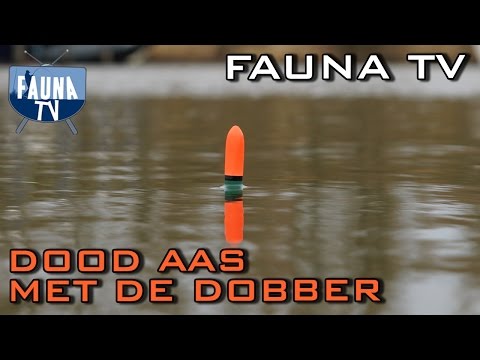download lagu mp3 mp4 Dobber, download lagu Dobber gratis, unduh video klip Dobber