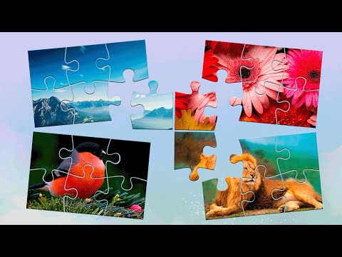 Jigsaw puzzles for adults Video