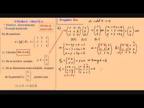 Pregatire pentru Bac - Algebra, Clasa a XI-a (Stiinte + Mate-Info)