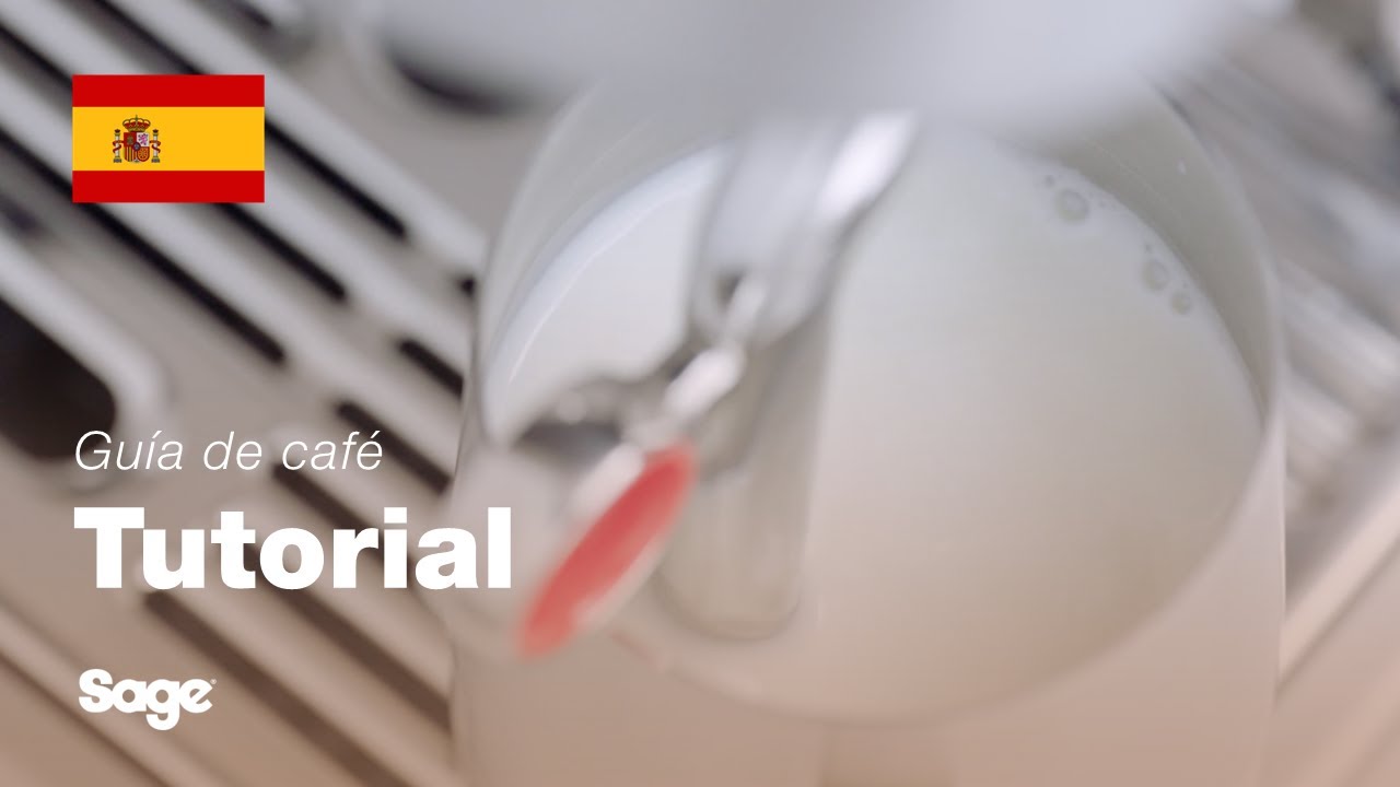 Tutorial de guía de café de Breville - Texturizado de leche manos libres Auto MilQ