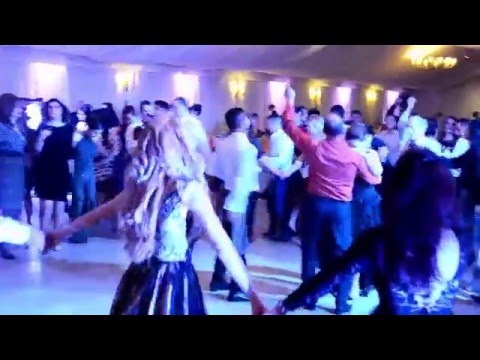 Fratii Radu -revelionul artistilor la Targu Jiu 2016