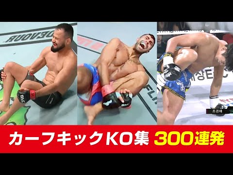 カーフキック KO集 100試合 Calf Kicks Knockouts