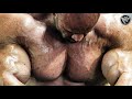 WAR AGAINST THE WEIGHTS INSANE TRAINING BRANCH WARREN MOTIVATION