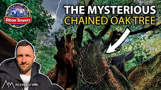 The Mysterious Chained Oak Tree