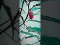 Aashiqui Mein Teri 2 0 Remix