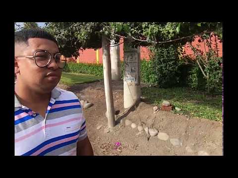 RZ CASTRO - ANGELA (VIDEO OFICIAL)