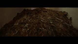 Download lagu INDRAMAYU KOTA MANGGA   Raggie Rasta   Kota mangga 1 mp3