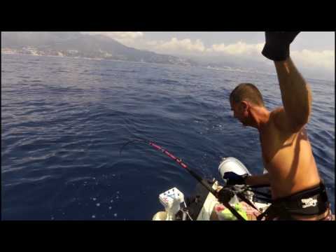 CANCELLI 20 FISHWORK IN ACTION