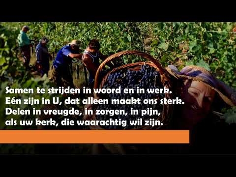 Opwekking met tekst 249 Samen werken