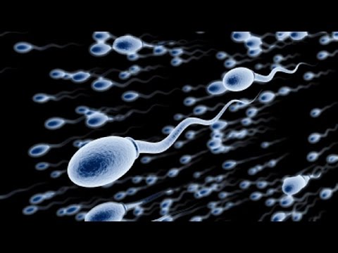 Potensi yang kuat pada pria Panduan patogen perempuan