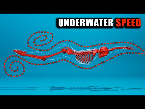 The Most Advanced Dolphin Kick Video Yet. Ronulus Ep. 5