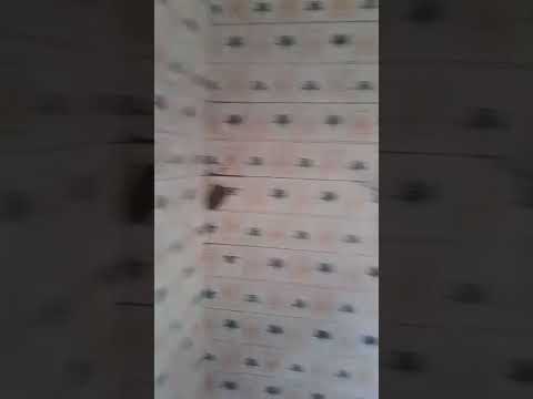 Standard Mini Flat for Rent at Oke-Afa, Isolo, Lagos
