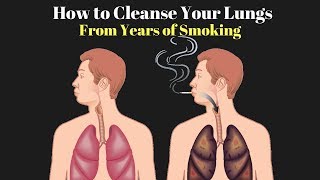 How to Cleanse and Strengthen Your Lungs from Years of Smoking