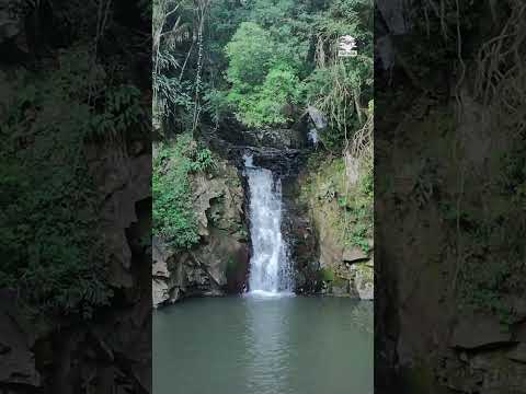 Poço Verde Visto do Alto: Um Refúgio Escondido em Paraíso do Sul (RS) #shorts #djineo #cachoeiras