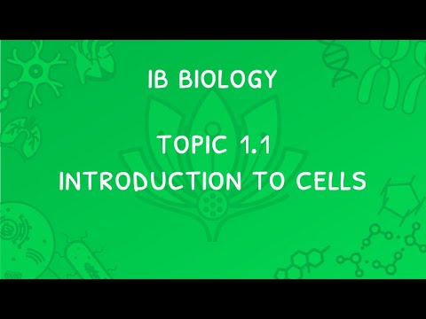 IB Biology Topic 1.1: Cell Theory, Stem Cells, Functions Of Life & The Microscope