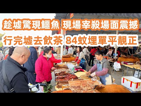 Krokodile auf dem Nanhai Guicheng Markt entdeckt! | Die Schlachtung vor Ort ist ein absoluter Schock