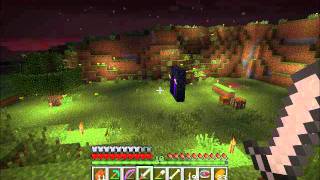 Minecraft Village Defender