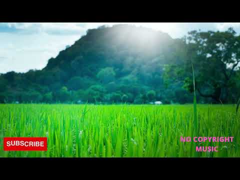 Magical Forest - No Copyright Music