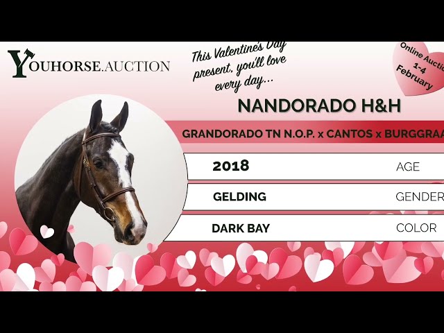 Nandorado showvideo