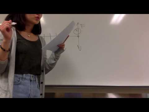 Cash Flow (Uniform Series)