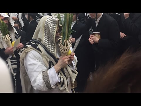 Hoshana Rabbah With Satmar Rebbe KJ - 2017