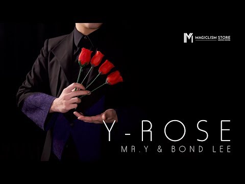 Y-Rose by Mr. Y & Bond Lee