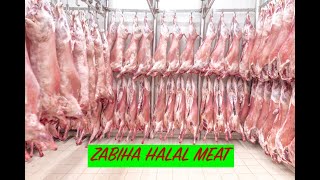 HALAL MEET IN AMERICAN STATE OF MICHIGAN (Fresh at Slaughter House 100% Halal