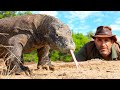 Coyote Peterson vs. Komodo Dragon: Dangerous Face-Off!