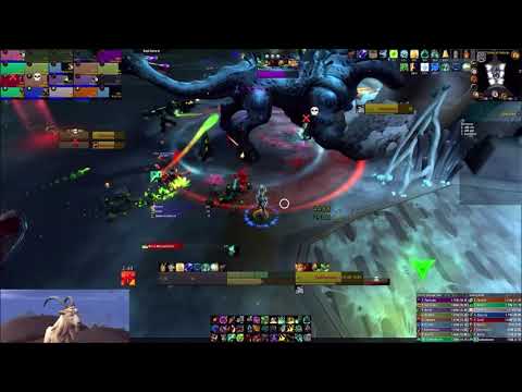 Enraged vs Fetid Devourer Mythic WW Monk PoV