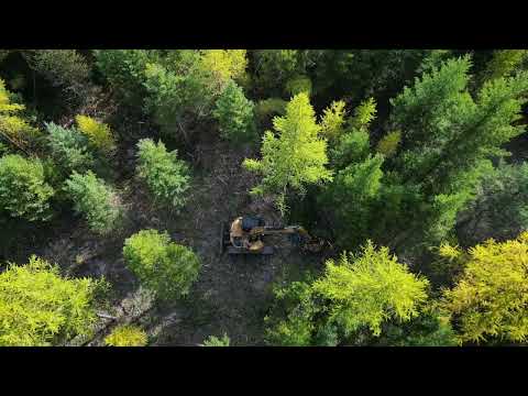 Cinematic shot video 4 preview