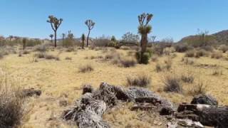 We’ll Sweep Out the Ashes (of Gram Parsons) in the Morning