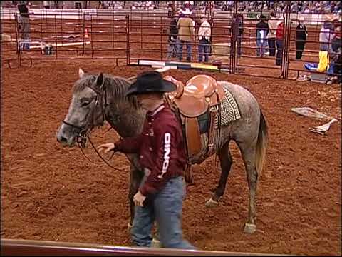 Часть 3 Клинтон Андерсон - На Пути К Лошади