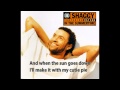 Shaggy - In The Summertime (subtitles) 