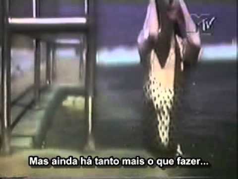 Colin Hay Band - Into My Life (Legendado em português)