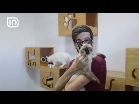 Life is Better with Friends 09082017 - Hoteli i maceve