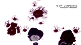 Re-UP - Concrethereal :: Nelcorpo Album // Dissonant