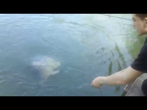 Captura zilei Crap Romanesc de 20 kg