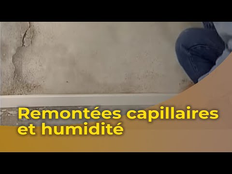 comment traiter humidite