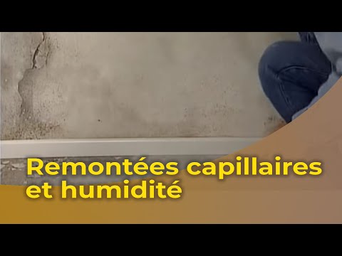 comment traiter mur humide