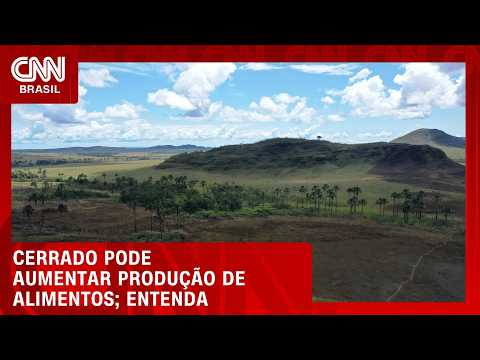 Cerrado aposta no uso eficiente de terras para ampliar produção de alimentos | CNN AGRO NEWS