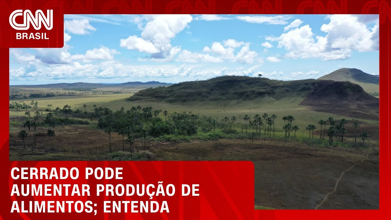 Cerrado aposta no uso eficiente de terras para ampliar produção de alimentos | CNN AGRO NEWS