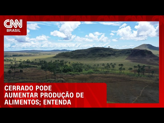 Cerrado aposta no uso eficiente de terras para ampliar produção de alimentos | CNN AGRO NEWS