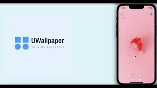 UWallpaper - Flutter v.2.10 App with GetX | Google AdMob | Pexels video preview