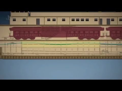 The Case of the U-28 Creature